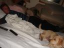 dsc010341.jpg
