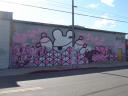 dsc01244.jpg