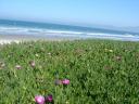 dsc01298.jpg
