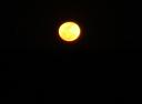 dsc01336.jpg