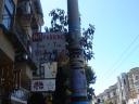 dsc01687.jpg