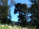 dsc01699.jpg