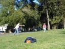 dsc01709.jpg