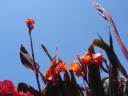 dsc02310.jpg