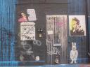 dsc02893.jpg