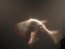 fuerza bruta