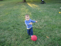 prospect 2
