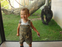 mi ancestro